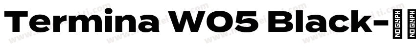 Termina W05 Black字体转换